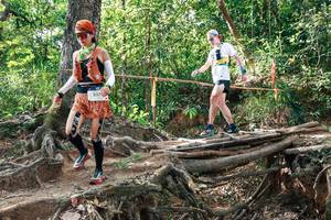 BIB: 
                            <button type="button" onclick="openModal(27558423)" class="btn btn-primary btn-sm float-right btn-popup" data-toggle="modal" data-target=".modal-high-quality">
                        <i class="fas fa-shopping-cart"></i> Add to Cart
                    </button>
                                            <button type="button" onclick="isThisMe(27558423, true)" class="btn btn-success btn-sm float-right btn-popup btn-isme hidden" data-toggle="tooltip" data-placement="bottom" title="นี่คือรูปของคุณใช่ไหม คลิกที่นี่เพื่อเอาเข้าอัลบั้ม">
                        <i class="fas fa-plus"></i> Add to album
                    </button>
                    <button type="button" onclick="isThisMe(27558423, false)" class="btn btn-warning btn-sm float-right btn-popup btn-isnotme hidden">
                        <i class="fas fa-ban"></i> Remove from album
                    </button>